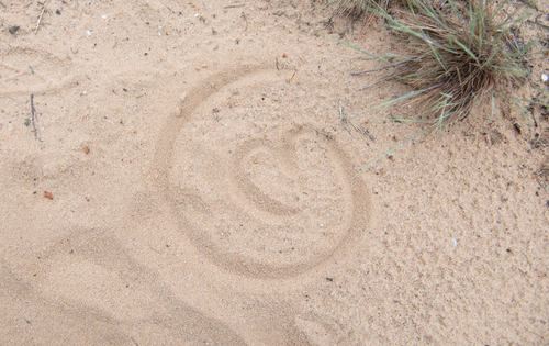 mamalila-logo-im-sand